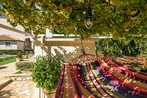 Facilities - Mavrias Village Studios & Apartments - Tsilivi Zakynthos